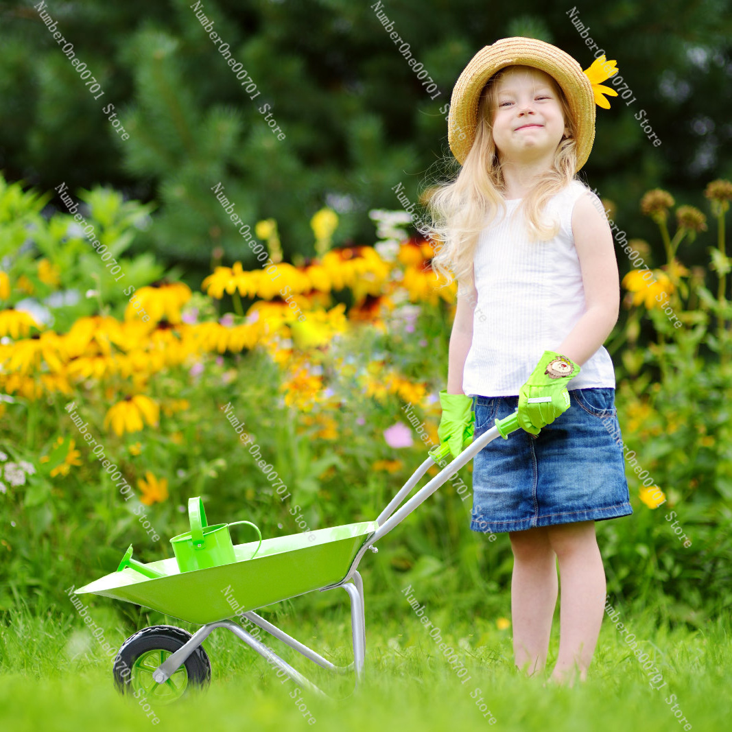 Carrinho de Mão Infantil para  - Play Kids Outdoor avaliação e preço
